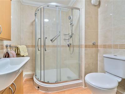 Picture 8